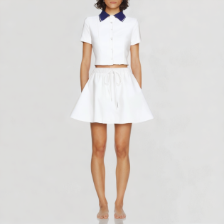 Crop Top and Pleated Mini Skirt