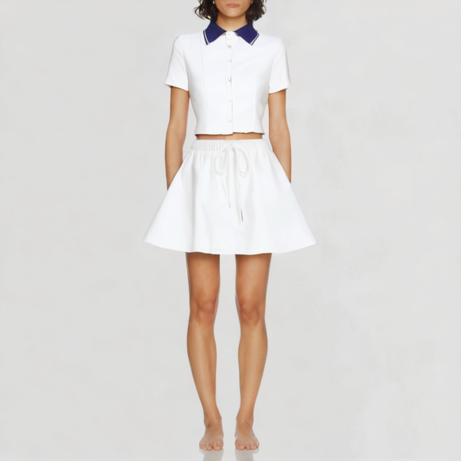 Crop Top and Pleated Mini Skirt
