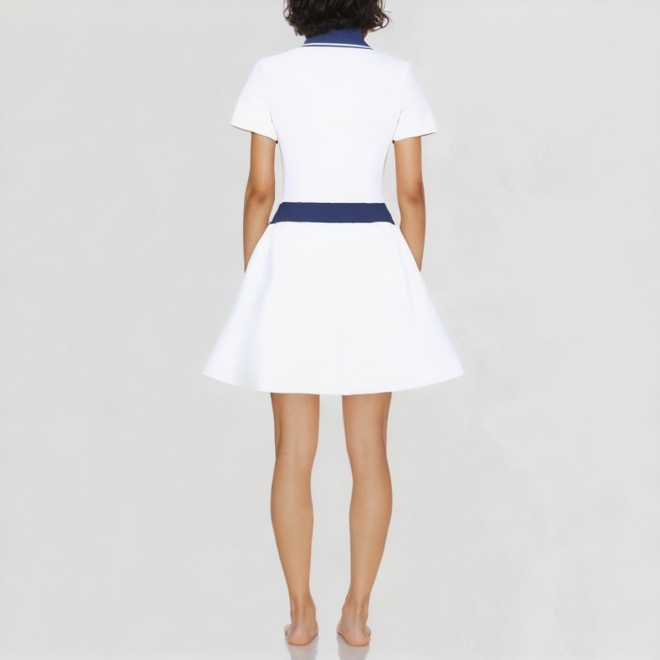 Crop Top and Pleated Mini Skirt